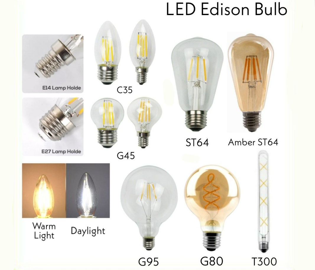 BULBS / MODULE